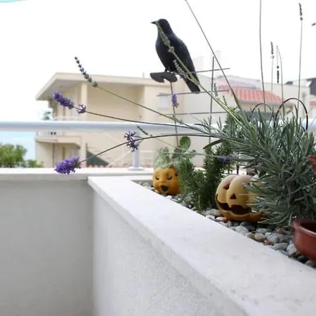 Maia's Znjan Apartament *